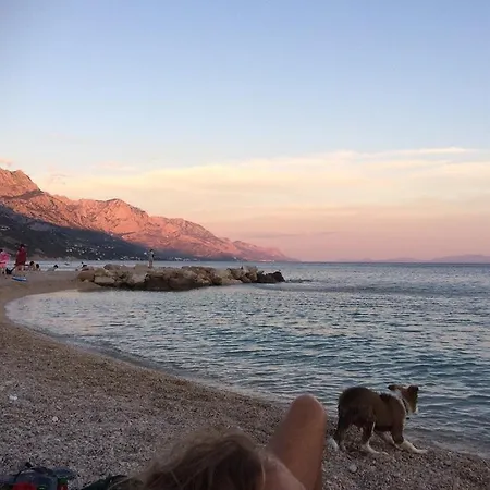 & Private Dalmatia Hostel *