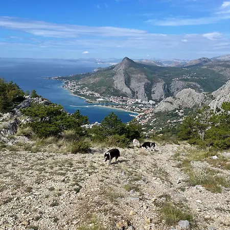 & Private Dalmatia 旅馆 Marusici (Split-Dalmatia)