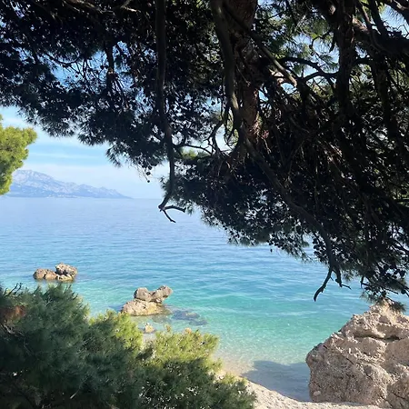& Private Dalmatia