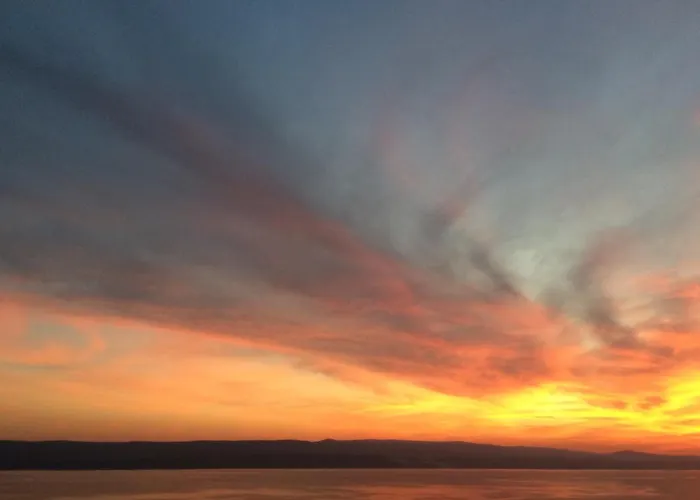 Dalmatia Marusici (Split-Dalmatia)