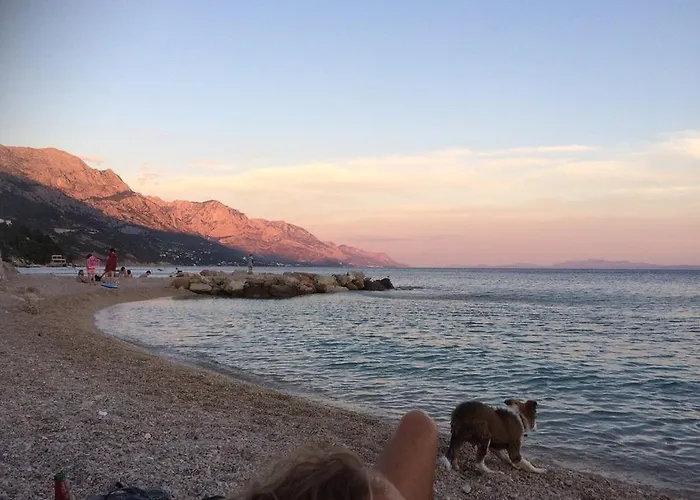 Dalmatia 旅馆 *
