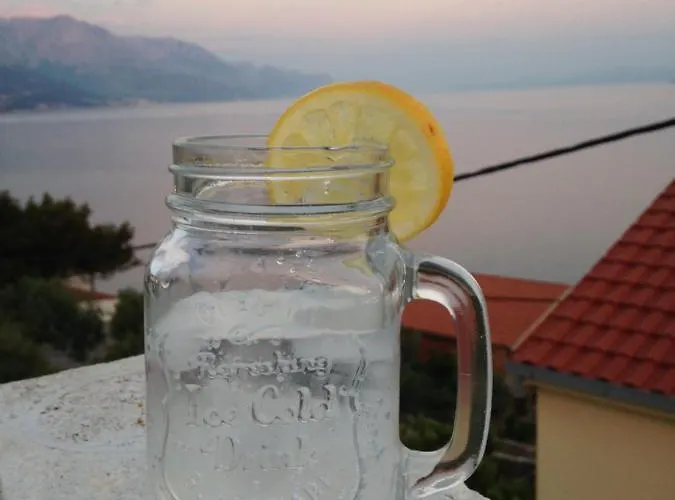 Dalmatia 旅馆 *