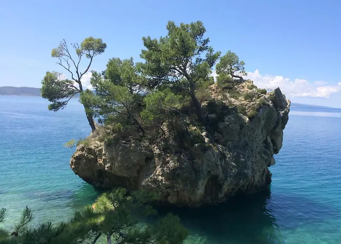 Dalmatia 旅馆 *