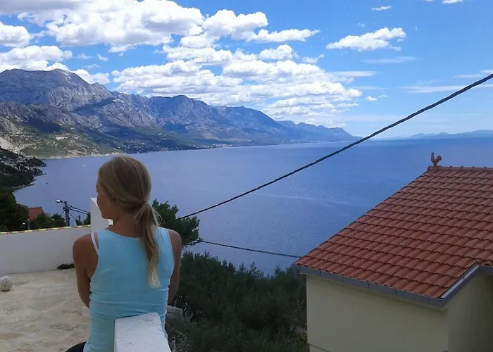 Dalmatia 旅馆